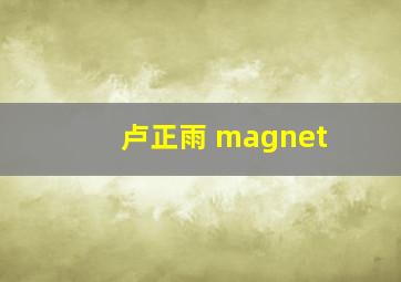 卢正雨 magnet